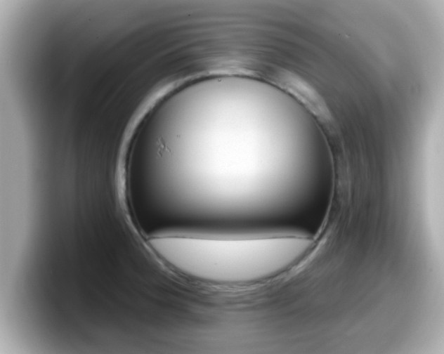 X0000099561188200805231506