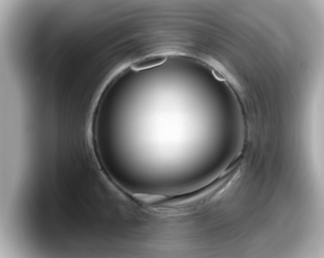 X0000099561189200805231506