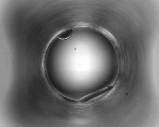 X0000099561190200805231506