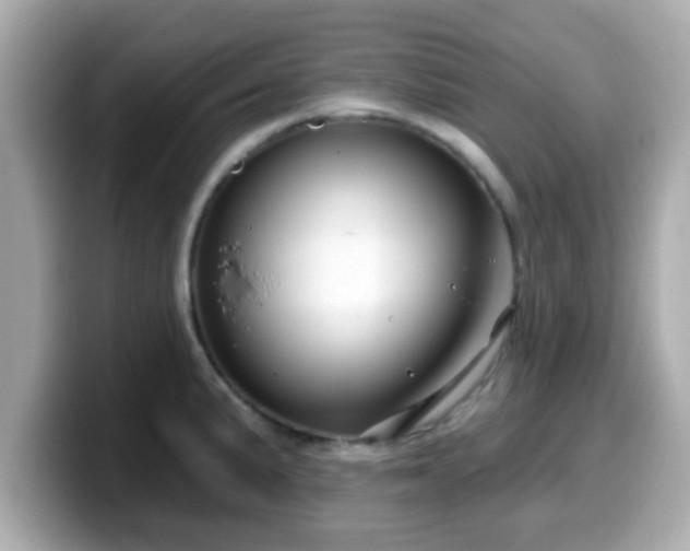 X0000099561191200805231506