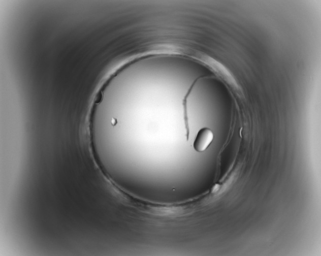 X0000099561192200805231506