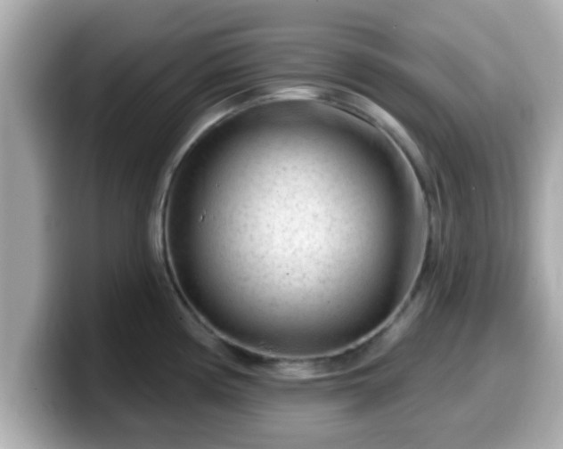 X0000099561194200805231506