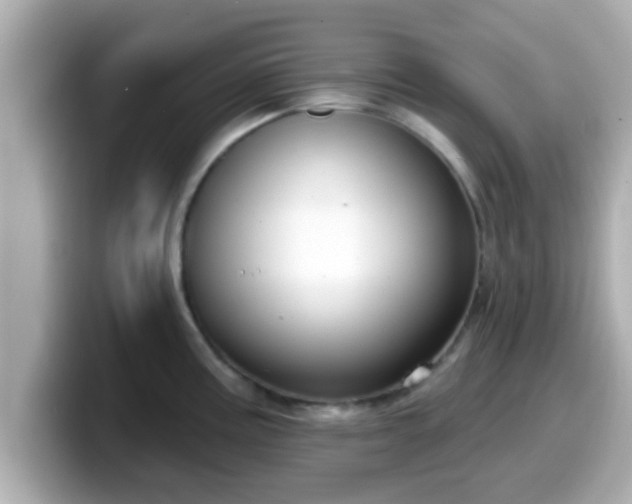 X0000099561195200805231506