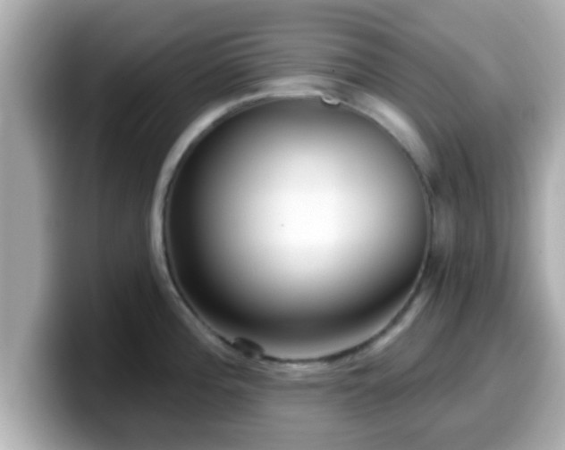 X0000099561196200805231506