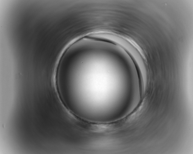 X0000099561197200805231506