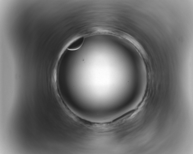 X0000099561198200805231506