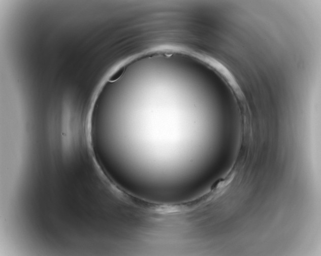 X0000099561199200805231506