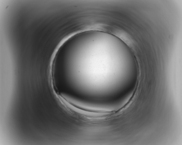 X0000099561200200805231506