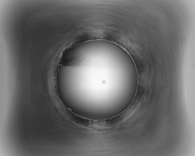 X0000099561201200805231505