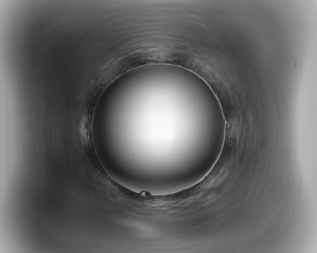 X0000099561202200805231505