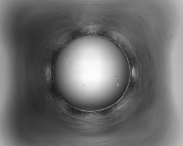 X0000099561203200805231505