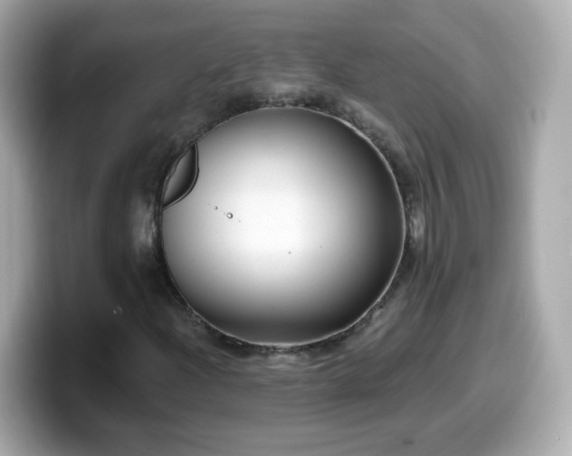 X0000099561204200805231506