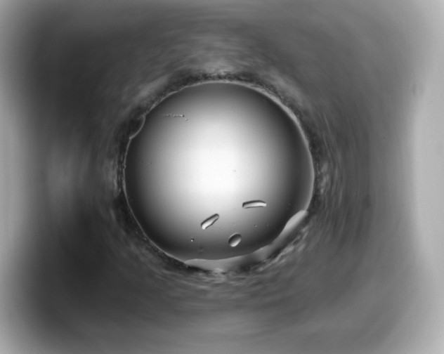 X0000099561205200805231506