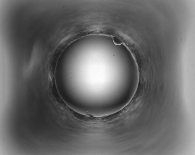 X0000099561206200805231506