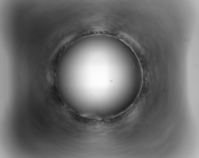 X0000099561207200805231506