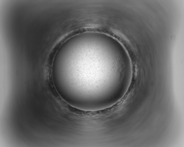 X0000099561208200805231506