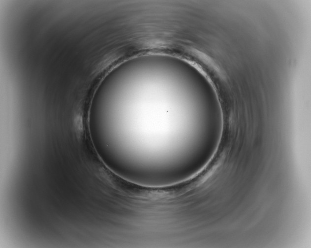 X0000099561209200805231506