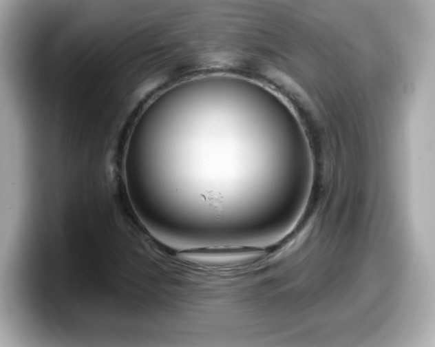 X0000099561210200805231506