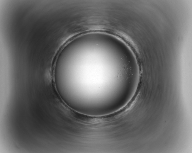 X0000099561212200805231506