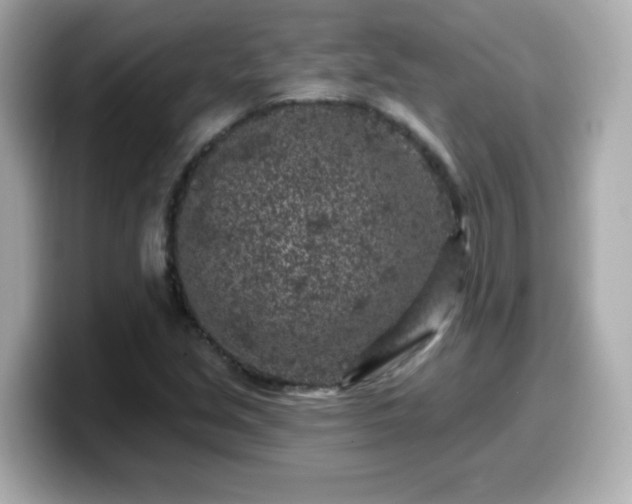 X0000099561213200805231506