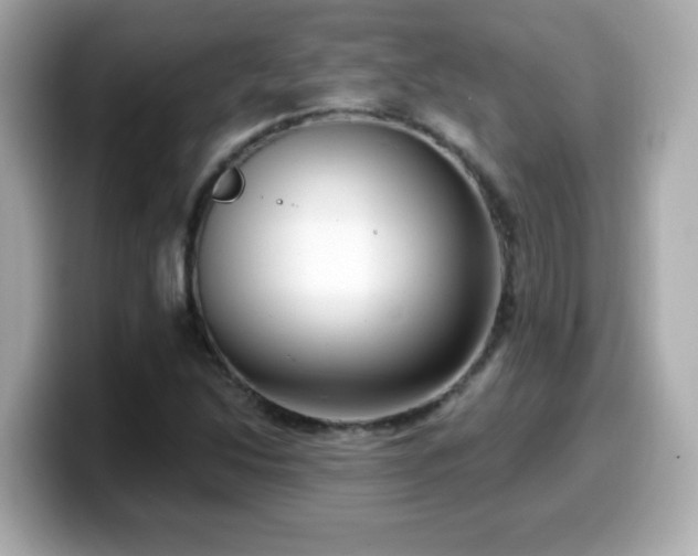 X0000099561214200805231506