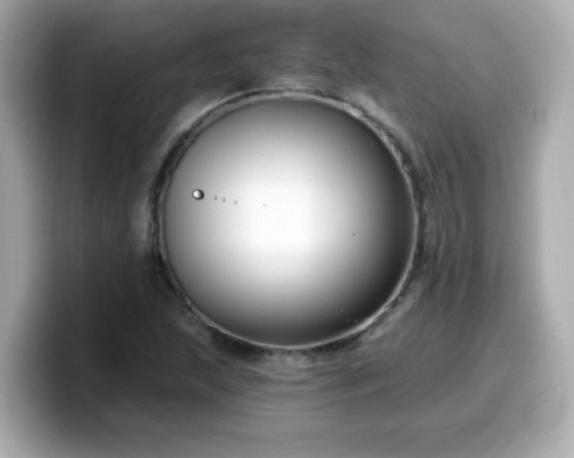 X0000099561215200805231506