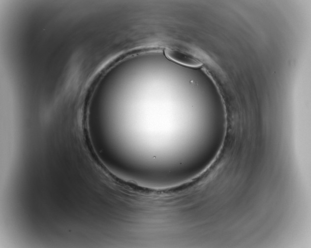 X0000099561216200805231506