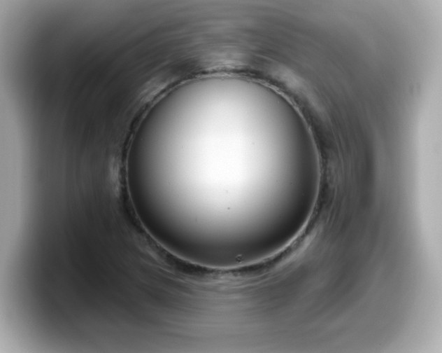 X0000099561217200805231506