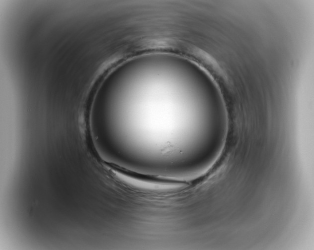 X0000099561218200805231506