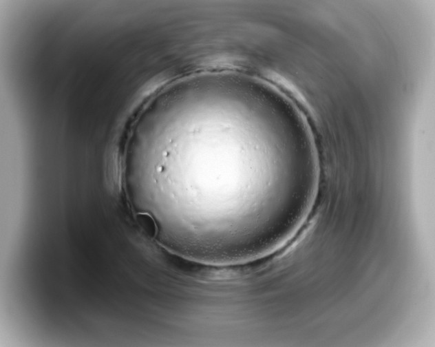 X0000099561219200805231506