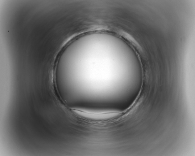 X0000099561220200805231506