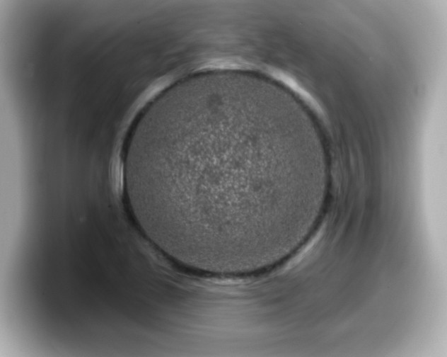 X0000099561221200805231506