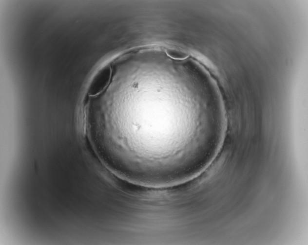 X0000099561223200805231506