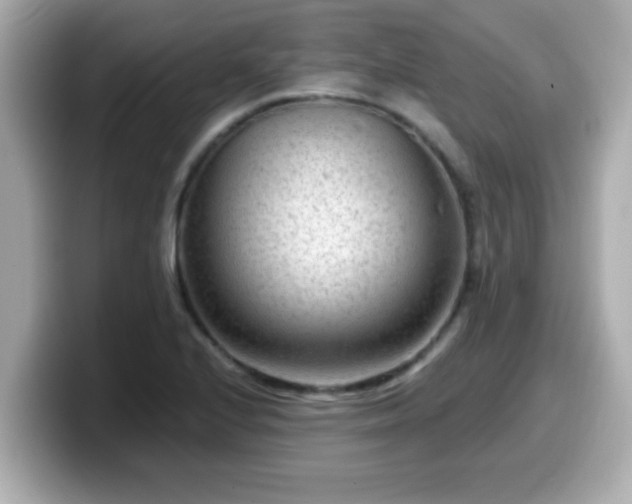 X0000099561224200805231506