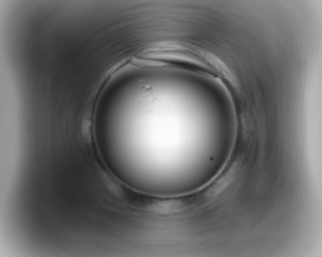 X0000099561225200805231506