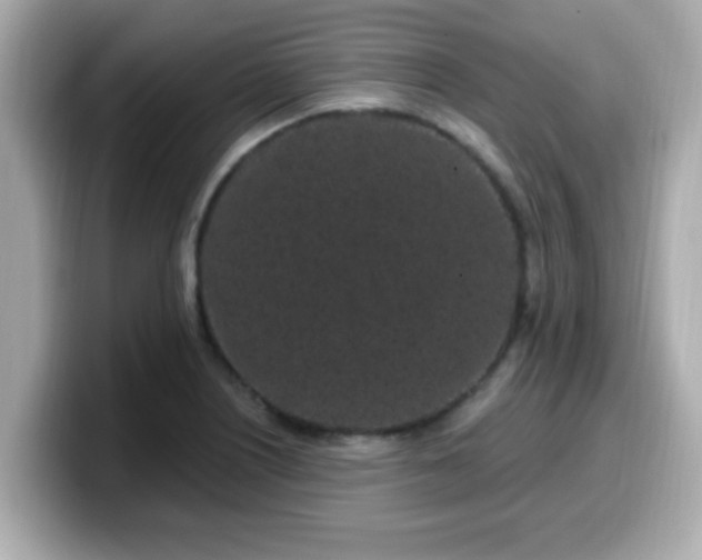 X0000099561226200805231506