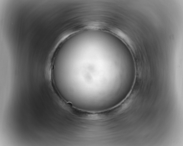 X0000099561227200805231506