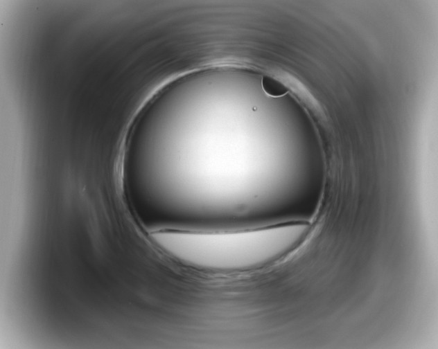 X0000099561228200805231506