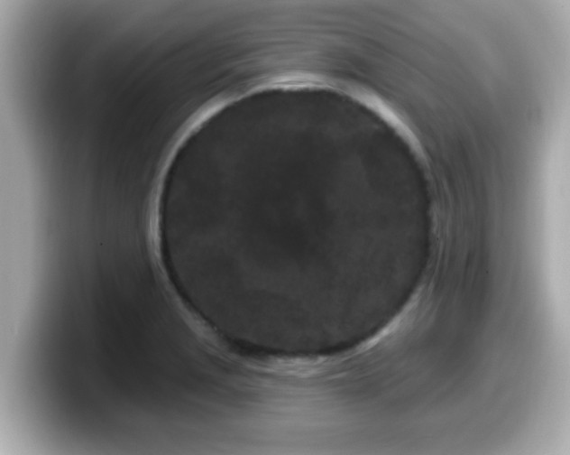 X0000099561229200805231506