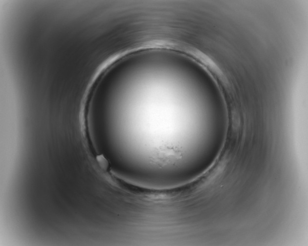 X0000099561230200805231506