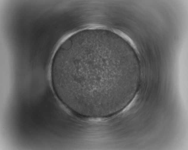 X0000099561231200805231506