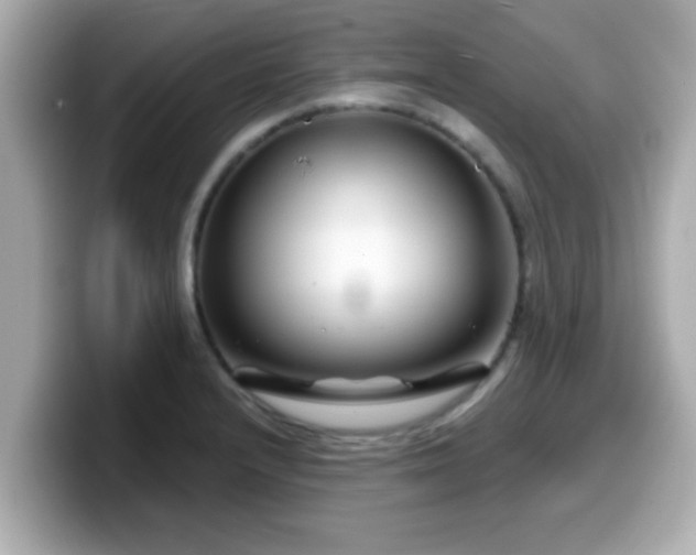 X0000099561232200805231506