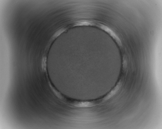 X0000099561233200805231506