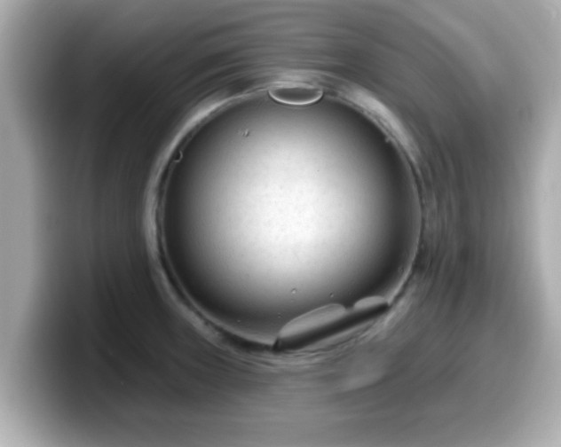 X0000099561235200805231506