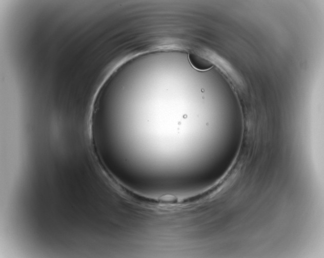 X0000099561236200805231506