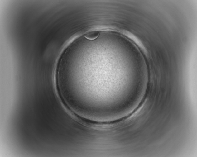 X0000099561237200805231506