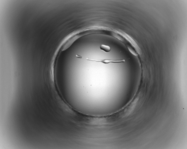 X0000099561238200805231506