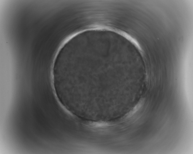 X0000099561239200805231506