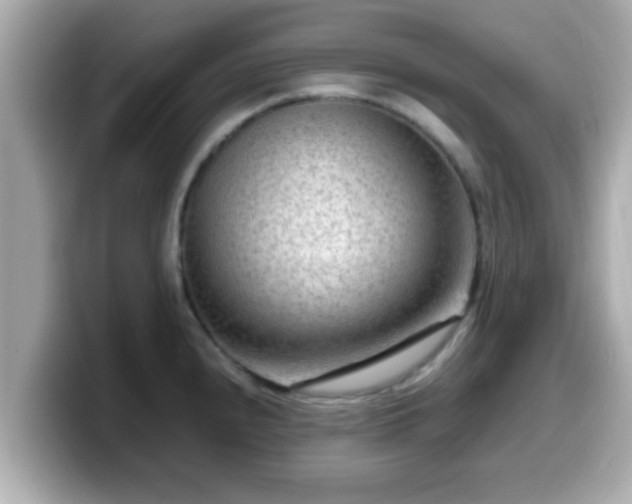 X0000099561240200805231506