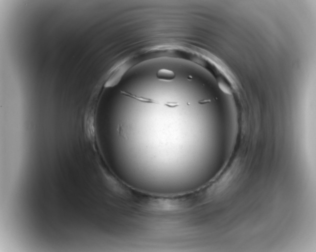 X0000099561241200805231506